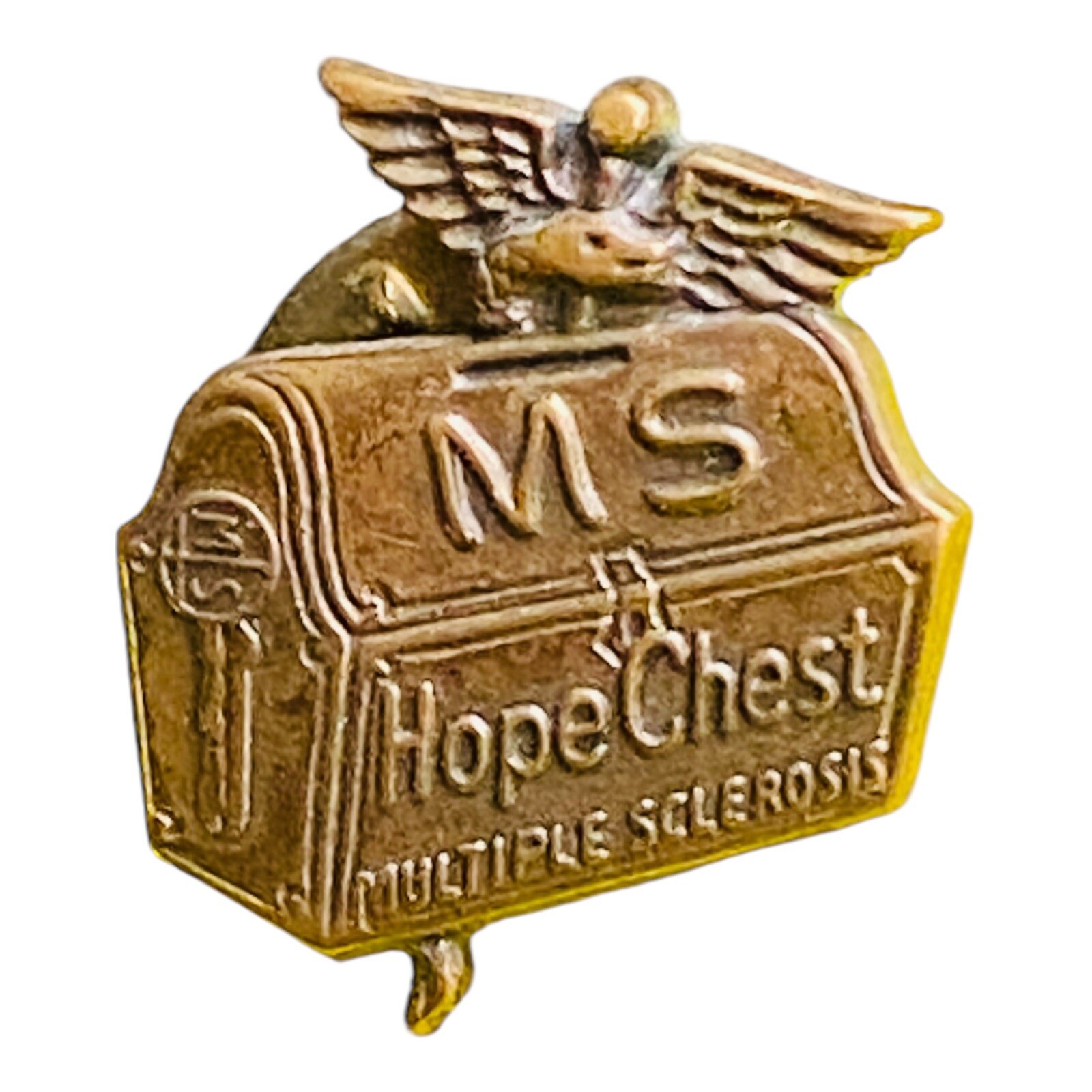 1960s MS Hope Chest Lapel Pin Badge National Multiple Sclerosis Society Vintage