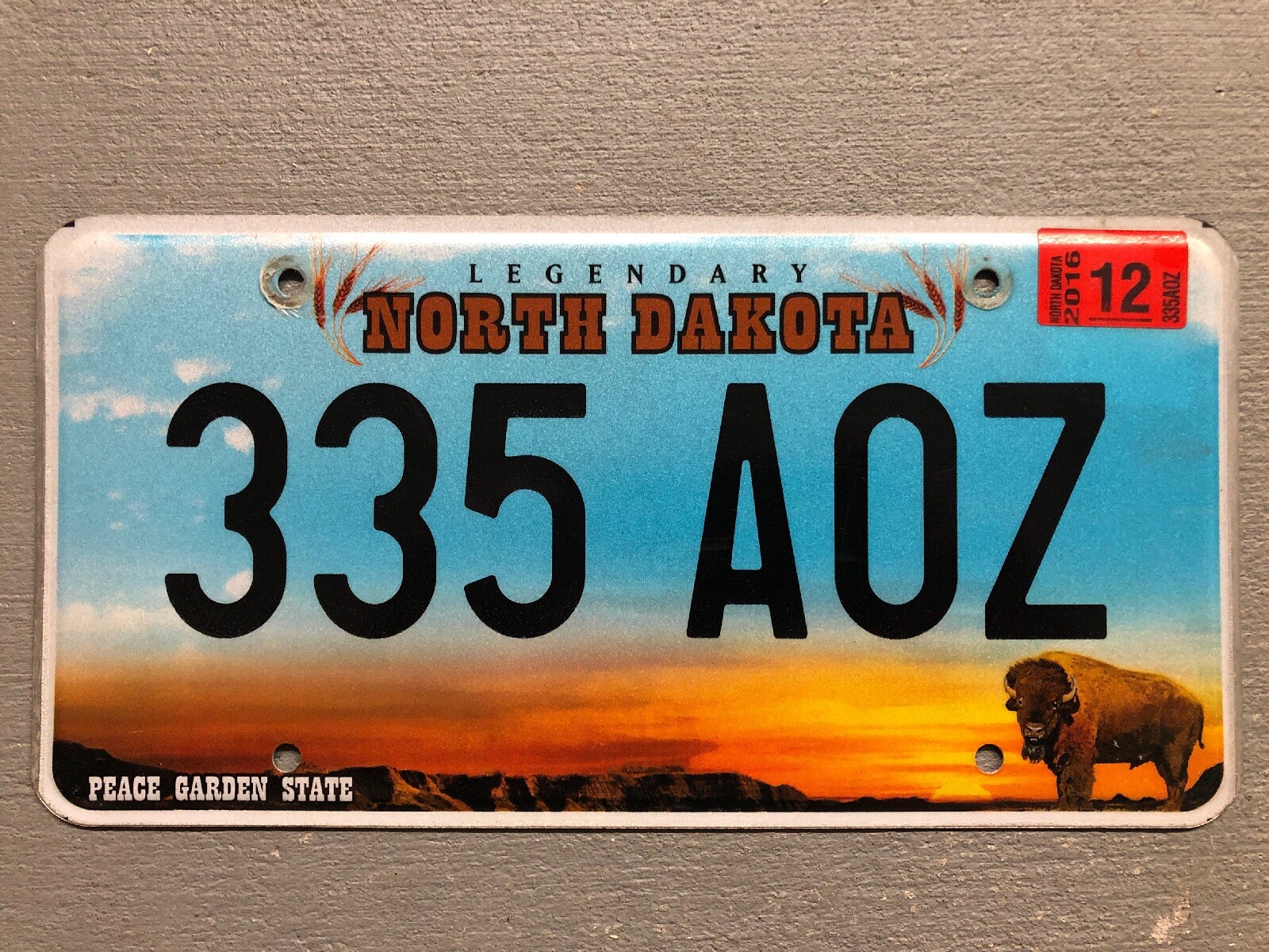 NORTH DAKOTA LICENSE PLATE LEGENDARY/BUFFALO RANDOM LETTERS/NUMBERS NICE