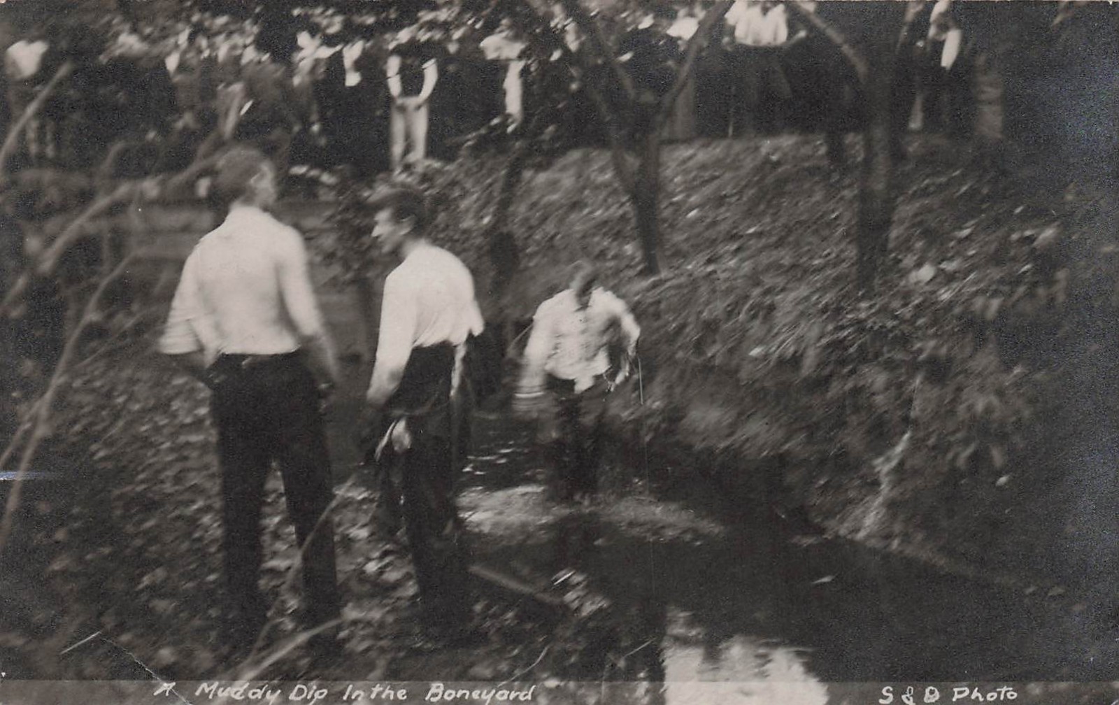 RPPC Champaign IL University of Illinois Boneyard Creek Photo Vtg Postcard J75
