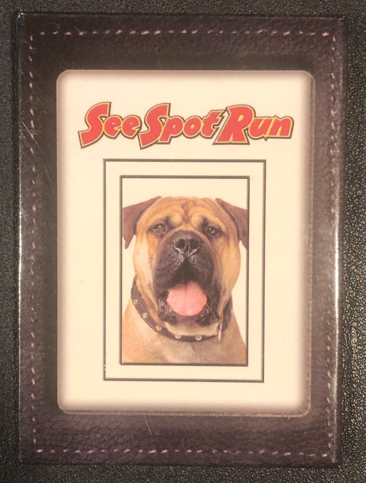 See Spot Run Original VINTAGE Movie Button Pinback