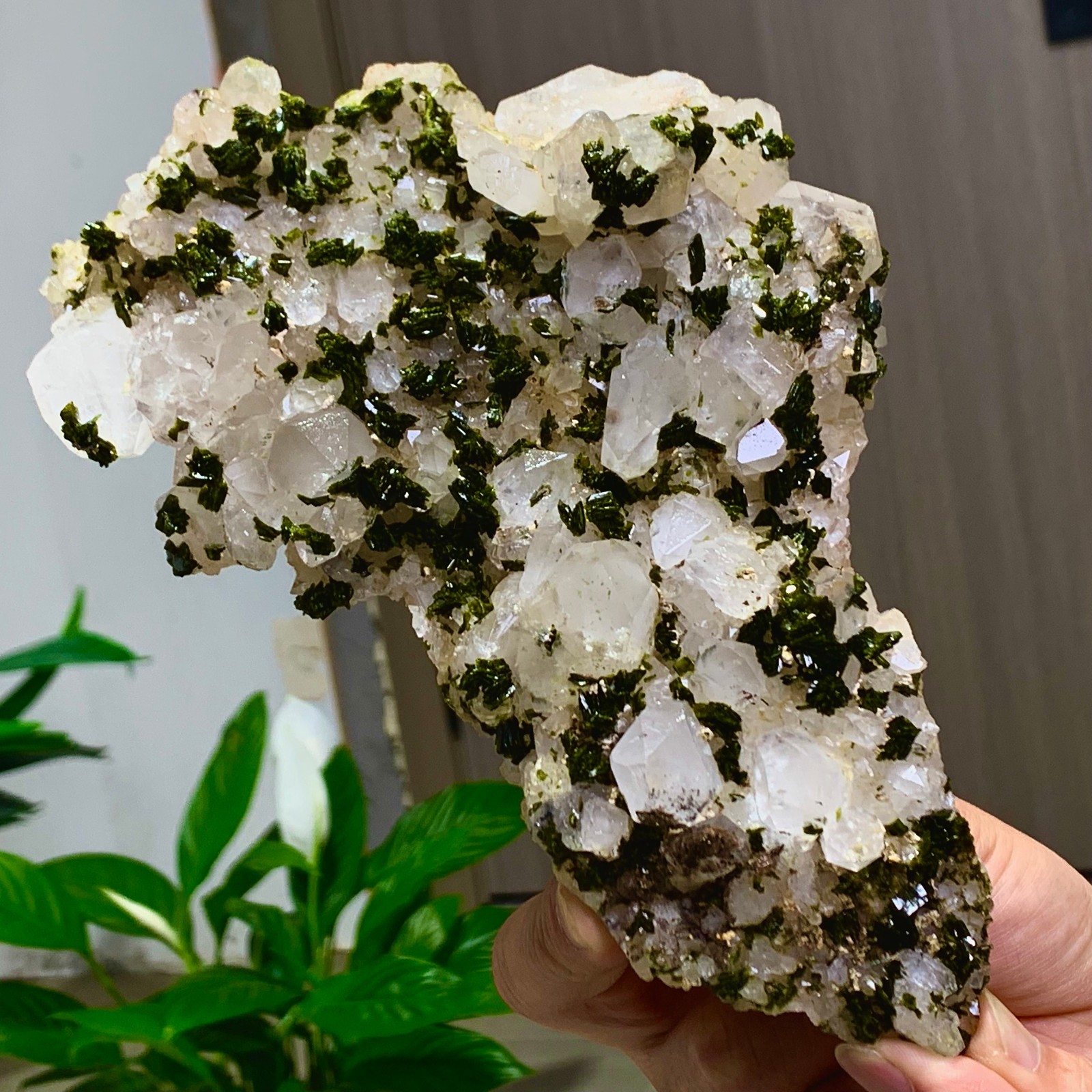 1.72LB Natural beautiful epidote quartz with Crystal garden quartz Specimen