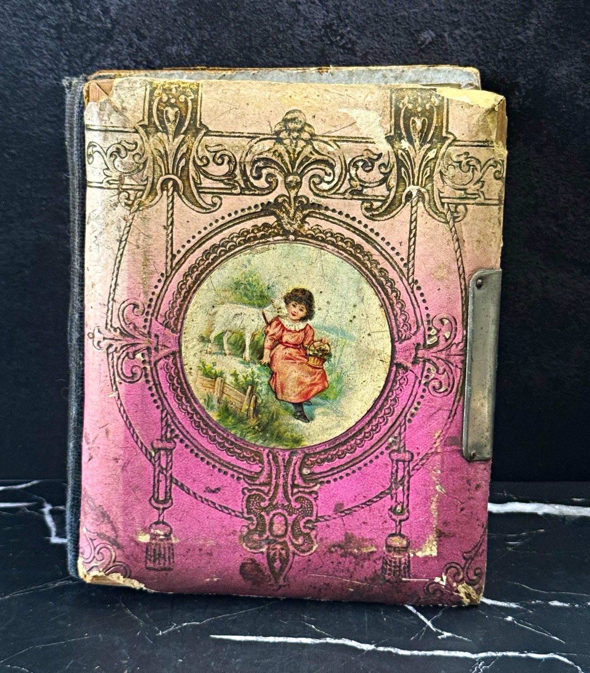Antique Victorian Celluloid Album with 10 Original Tintypes (c. 1880–1895)