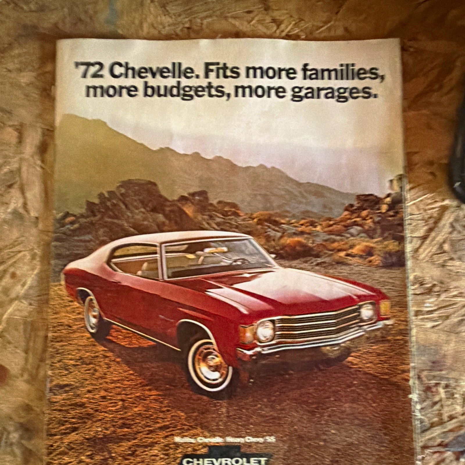 Chevrolet 1972 Chevelle Brochure Catalog - Fits More Families More Budgets
