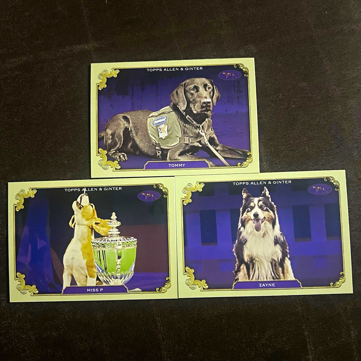 Topps 2022 Allen & Ginter Service Dogs of Sport Lot 3 Cards Tommy/Miss P/Zayne