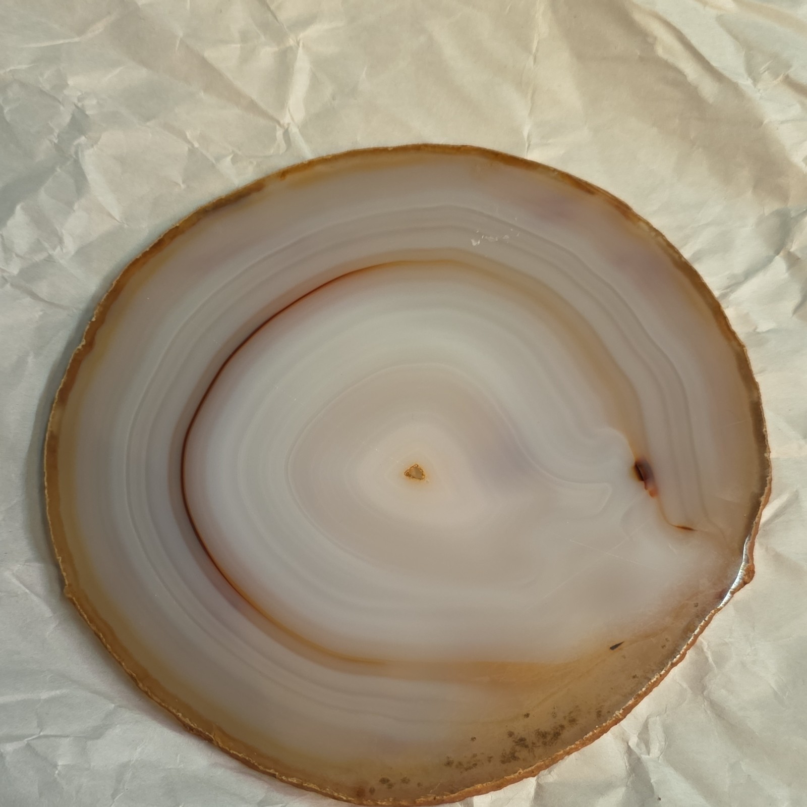 Polished Banded Agate Round Slab Slice Beige/White Display Piece