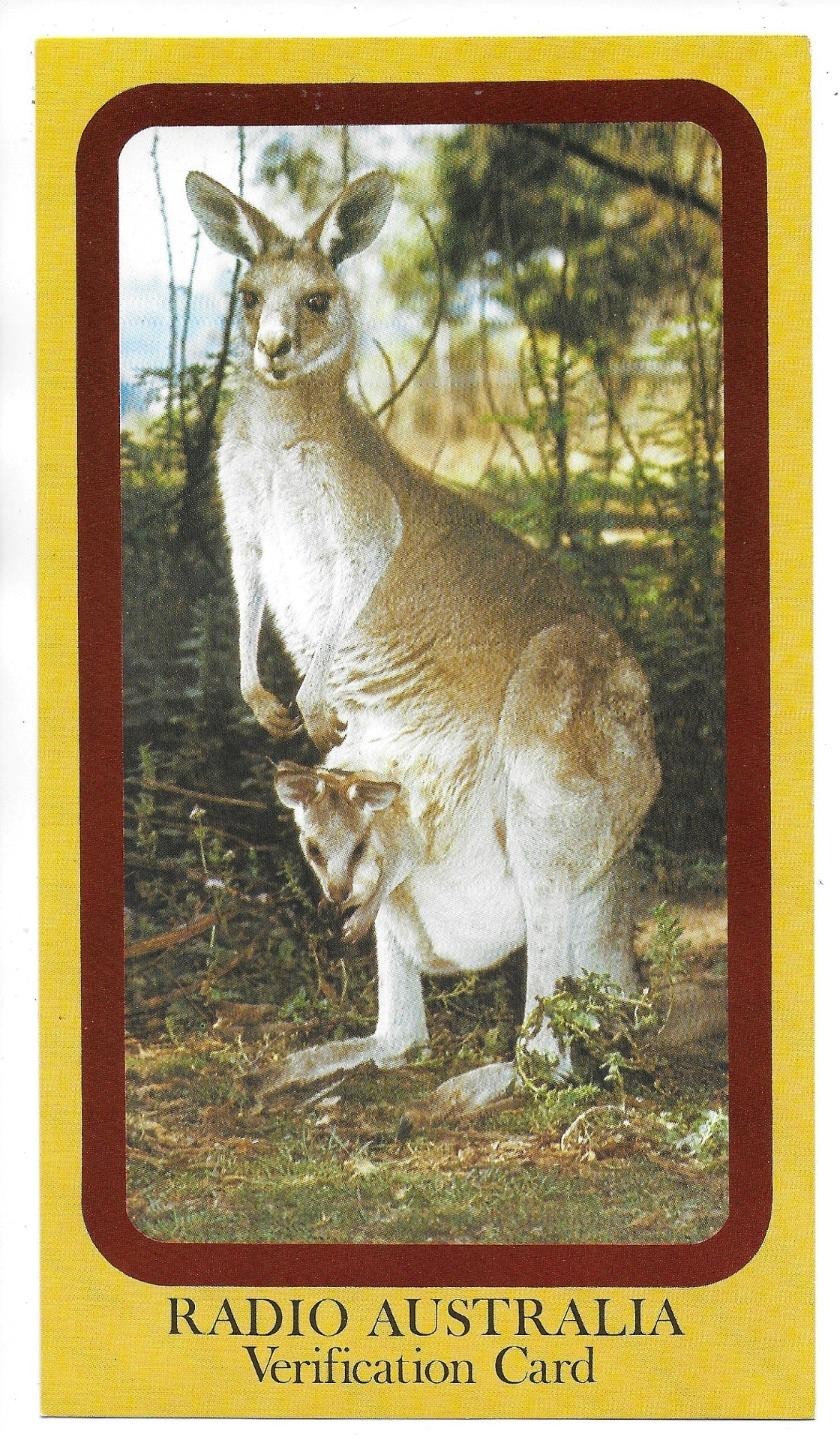 QSL Radio Australia Melbourne Victoria 1974 Shepparton 11765 kHz Kangaroos DX