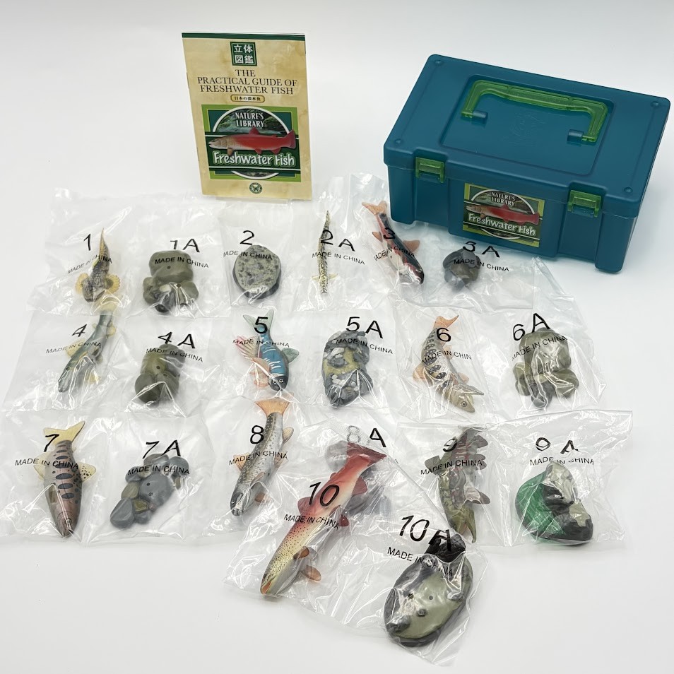 Colorata Real Figure box Set Japanese Fresh Water Fish New Japan F/S w/T