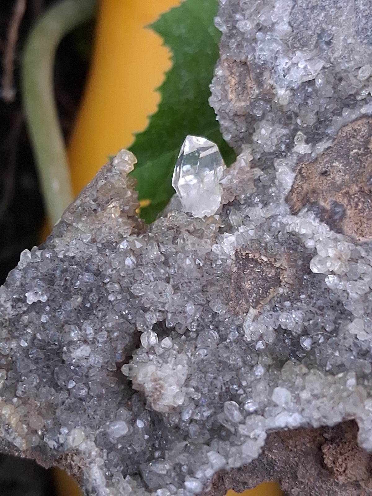  🌈 Beautiful Herkimer 💎s  Druze Covered Dolostone  Specimen  \