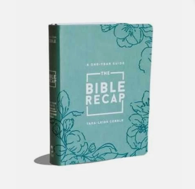 Tara Leigh Cobble Bible Recap 1 One Year Guide Fuax Leather Mint or Sage Green