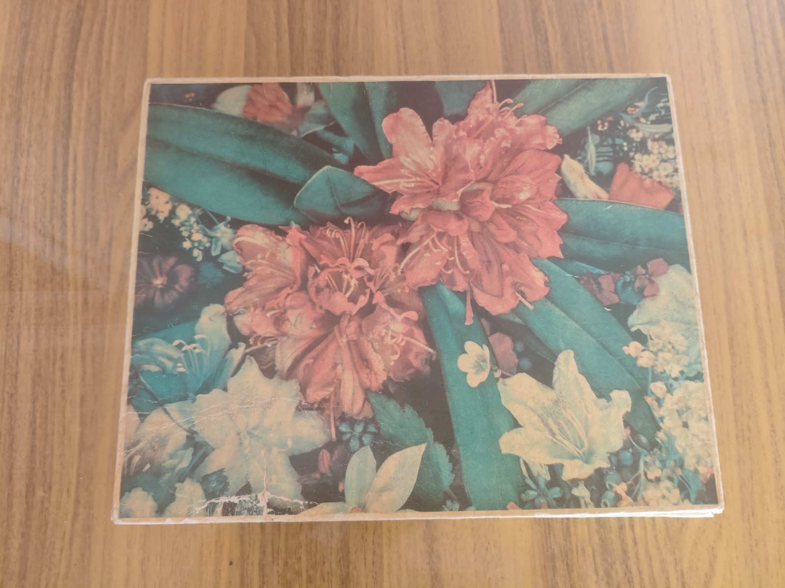 Vintage Soviet Flowers Botanical Garden Match Set 28 Boxes 1978