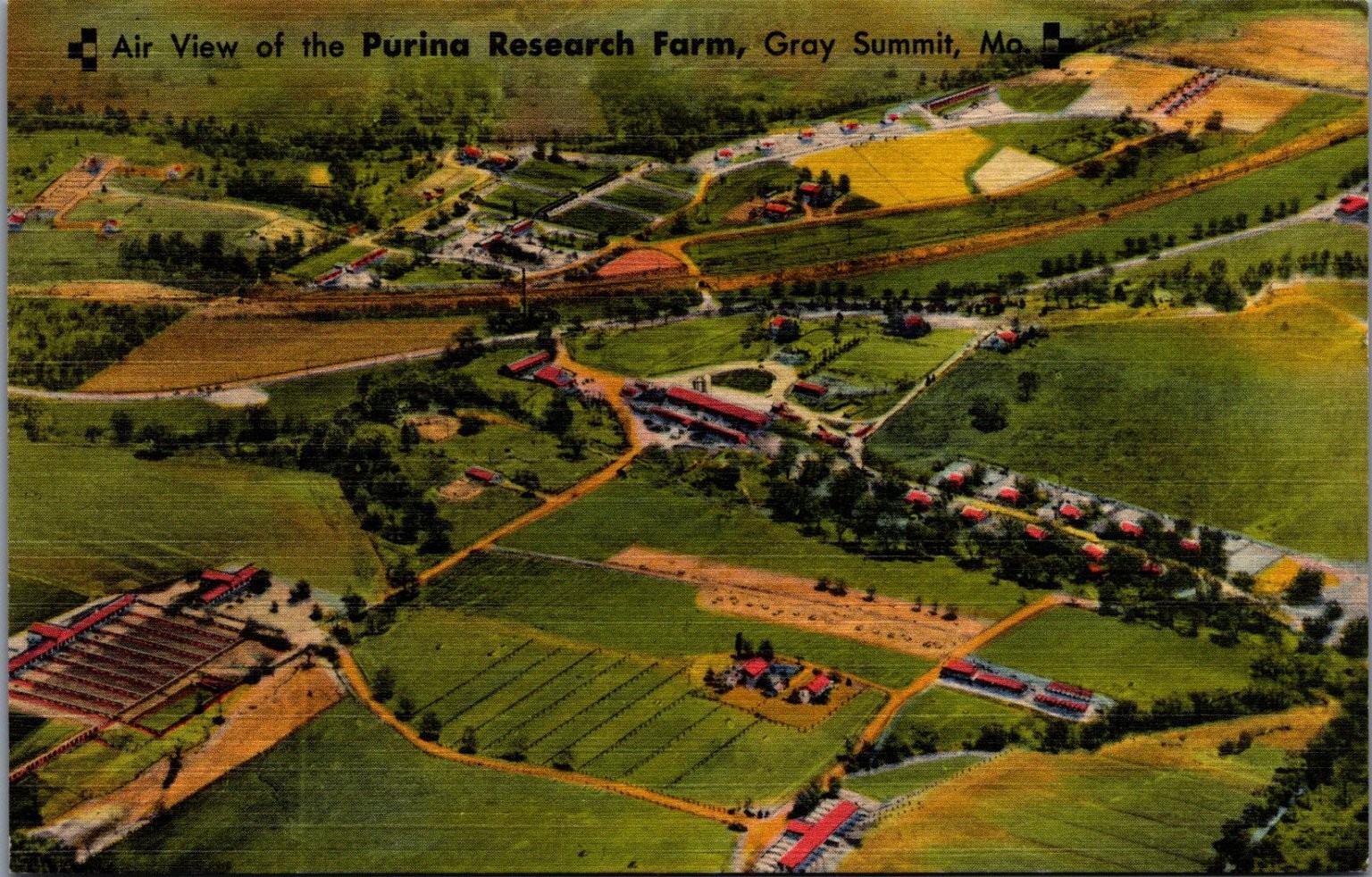 Air View Purina Research Farm Gray Summit, MO Curteich Art-Colortone Postcard