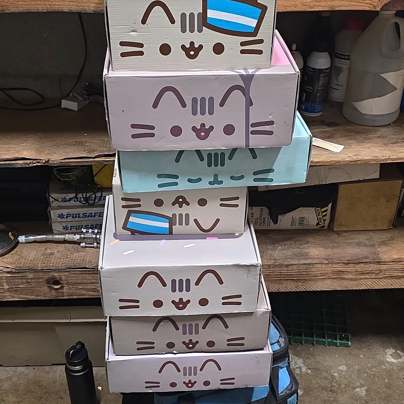 Empty Pusheen Boxes, Various Styles, 7 In Total, You Get All Seven For $10