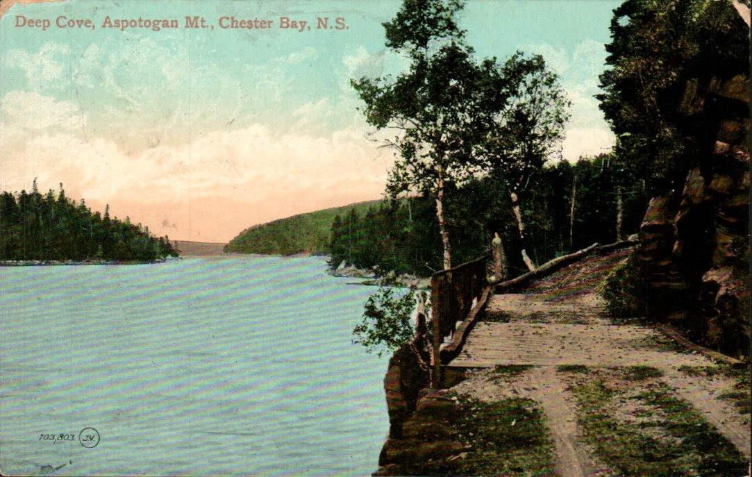 Chester Bay NS - Deep Cove, Aspotogan Mountain road - Antique Postcard - 1908