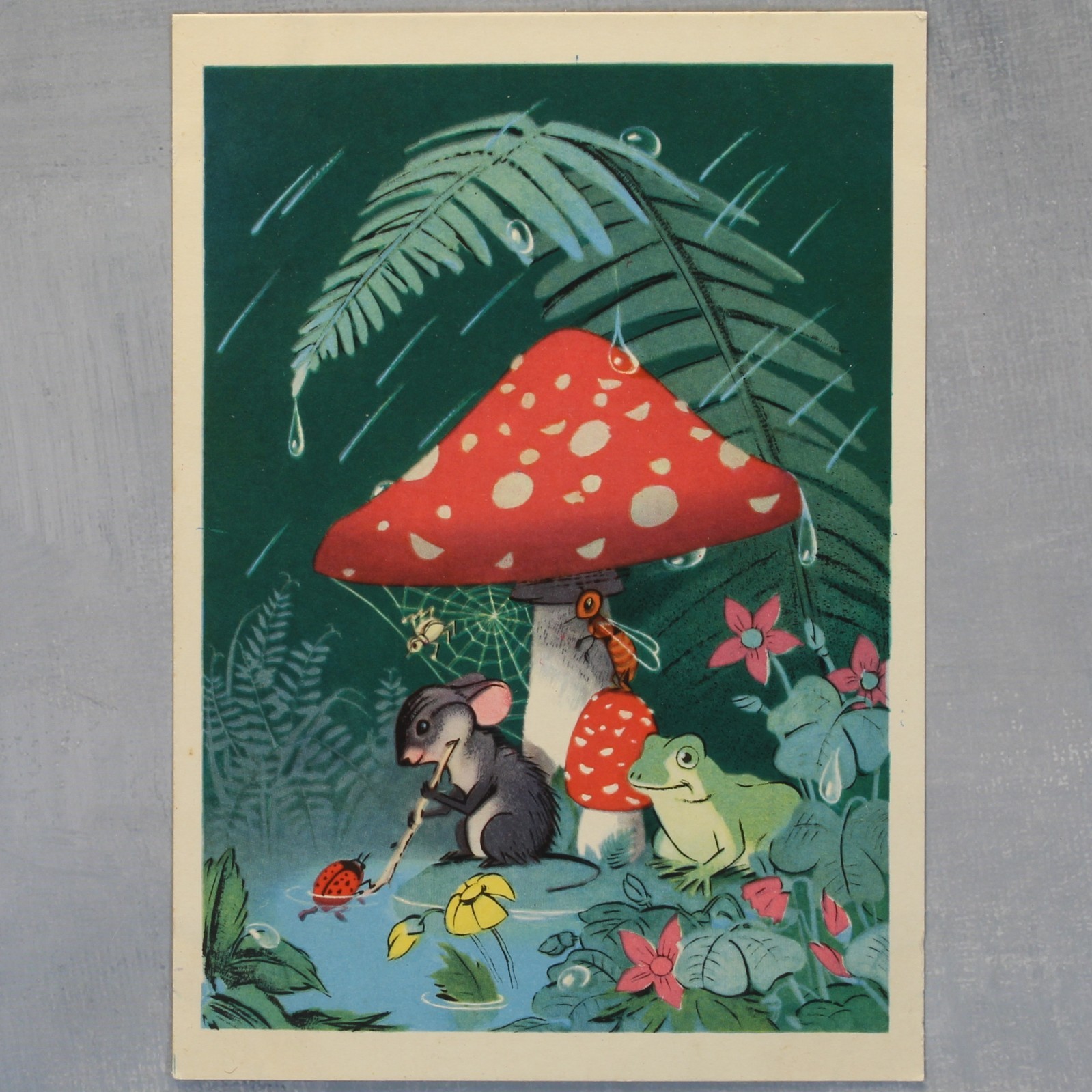 Mushroom Rain Spider web Frog Mouse Ladybug Russian postcard 1956 Byalkovskaya🍄