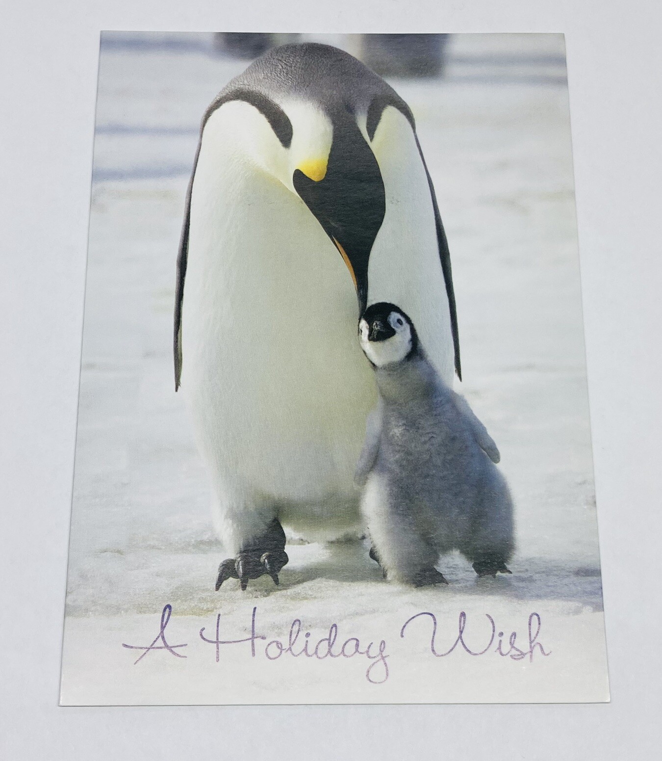 Happy Holidays Card “Beautiful Moments $ Happy Memories” Penguin Family Art P4