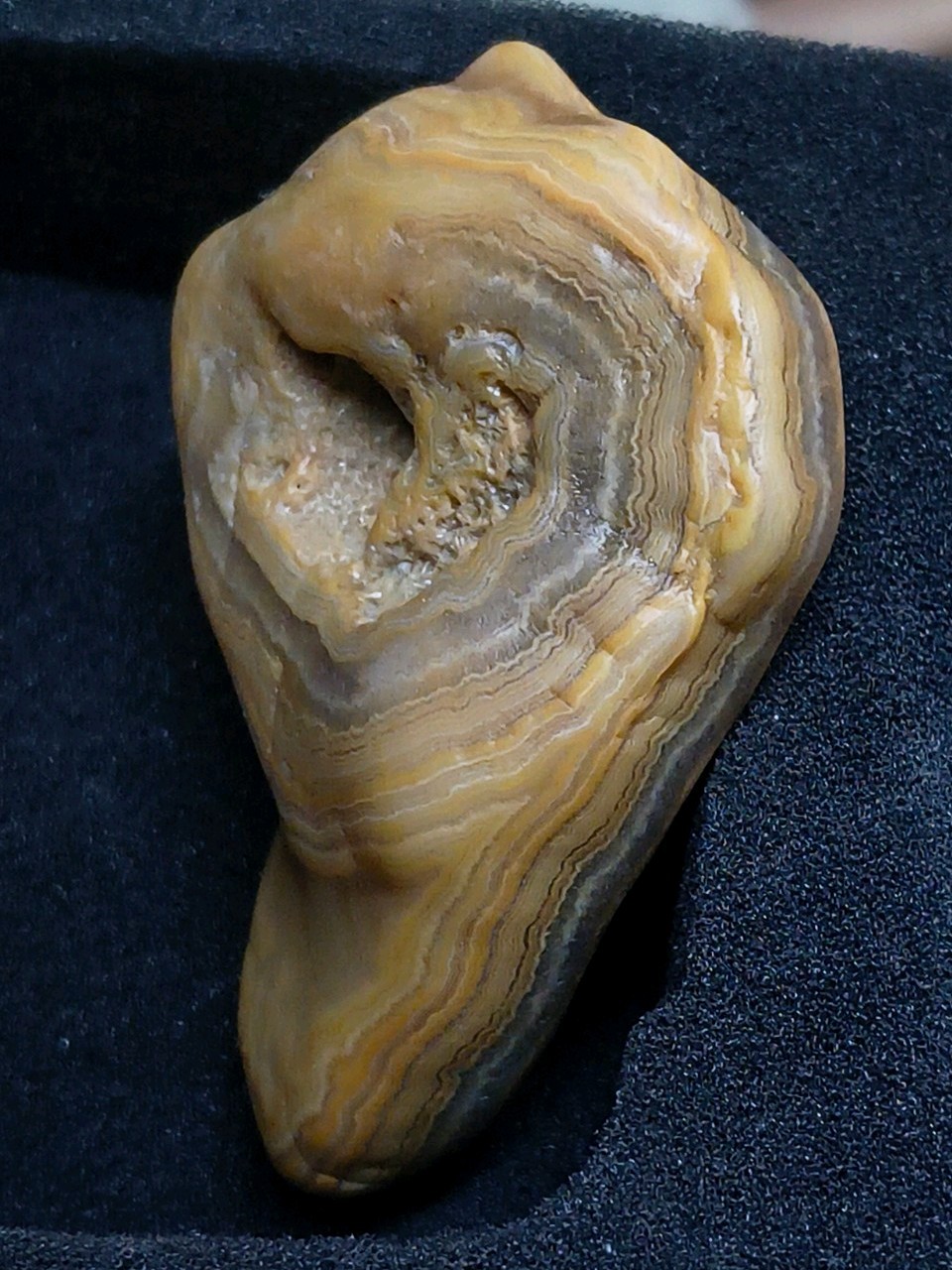 Agate Natural Unique Memphis Tennessee Creek Rough Unpolished Mineral Specimen
