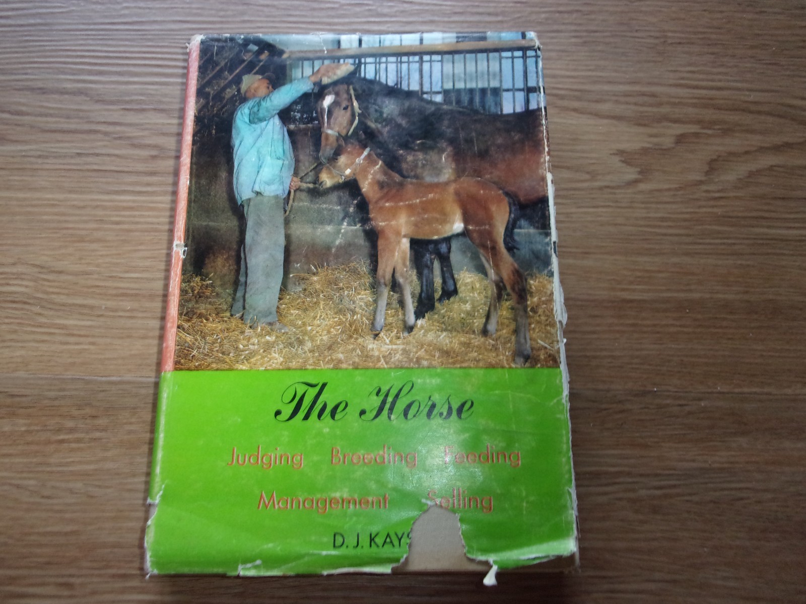 THE HORSE JUDGING BREEDING FEEDING MANAGEMENT SELLING KAYS  HORSE HB BOOK
