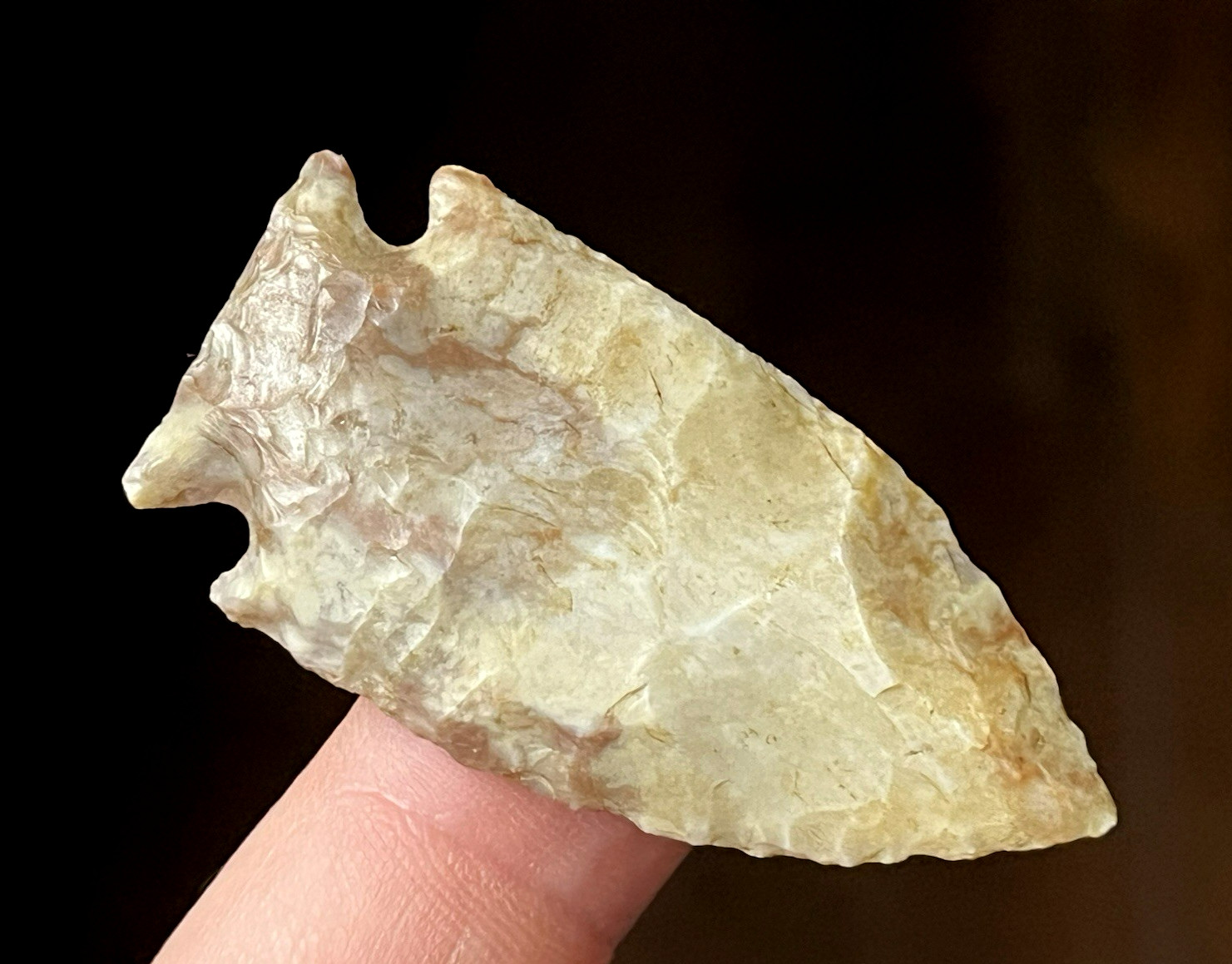 PHENOMENAL COLORADO CIENEGA POINT ARROWHEAD AUTHENTIC INDIAN ARTIFACT B2M