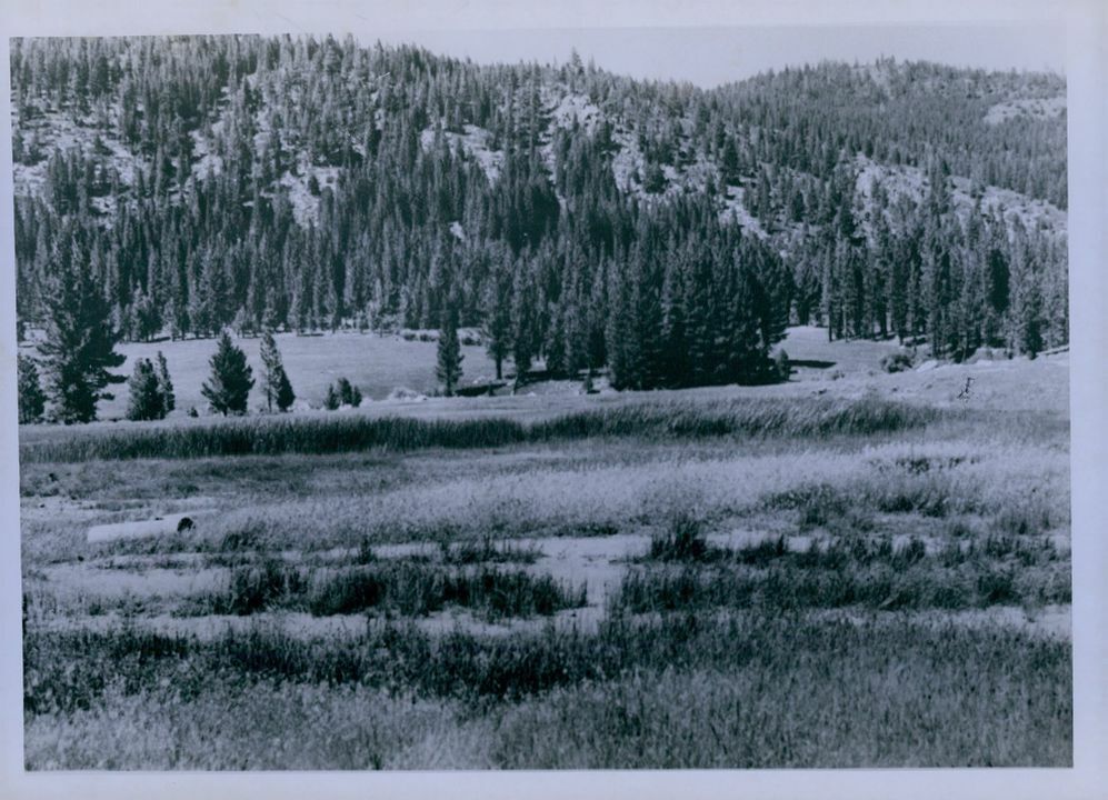 1959 Grover Hot Springs State Park CA Wood Line Press Photo
