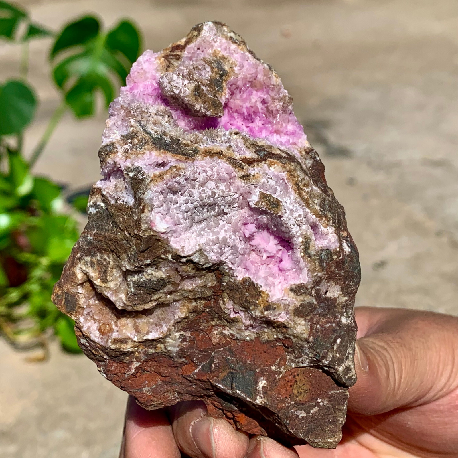 252 G Natural Gorgeous Druzy pink Chrysocolla Crystal Specimen