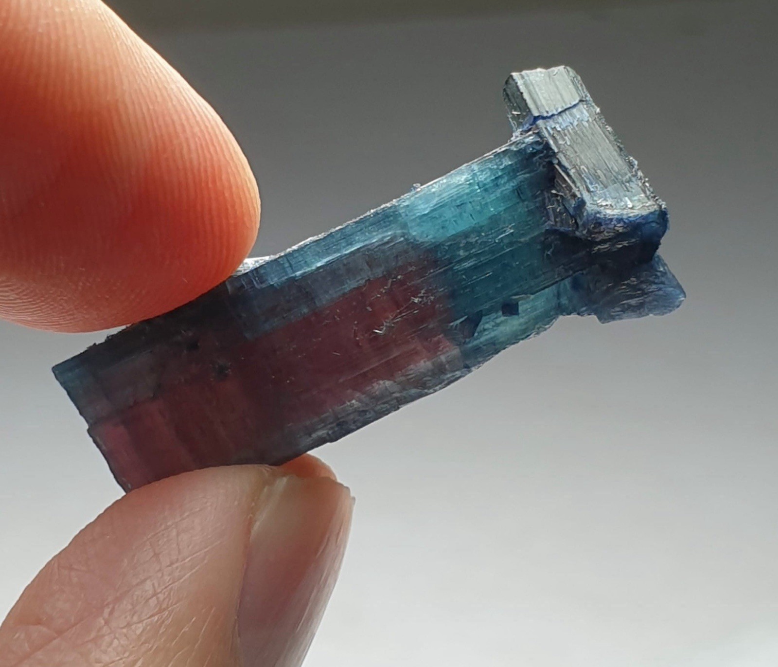 Top Quailty Double Terminated Bi-Colour Watermelon Tourmaline Crystal Specimen.