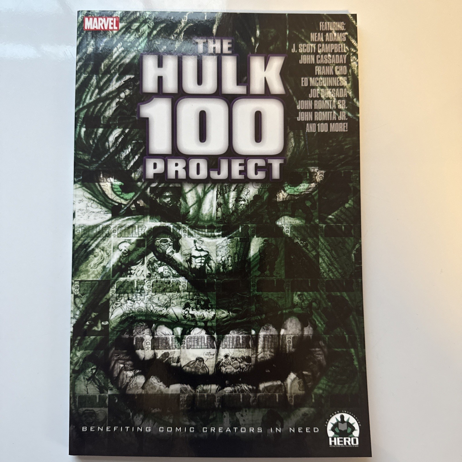 The Hulk 100 Project by Peter David (Paperback, 2008)