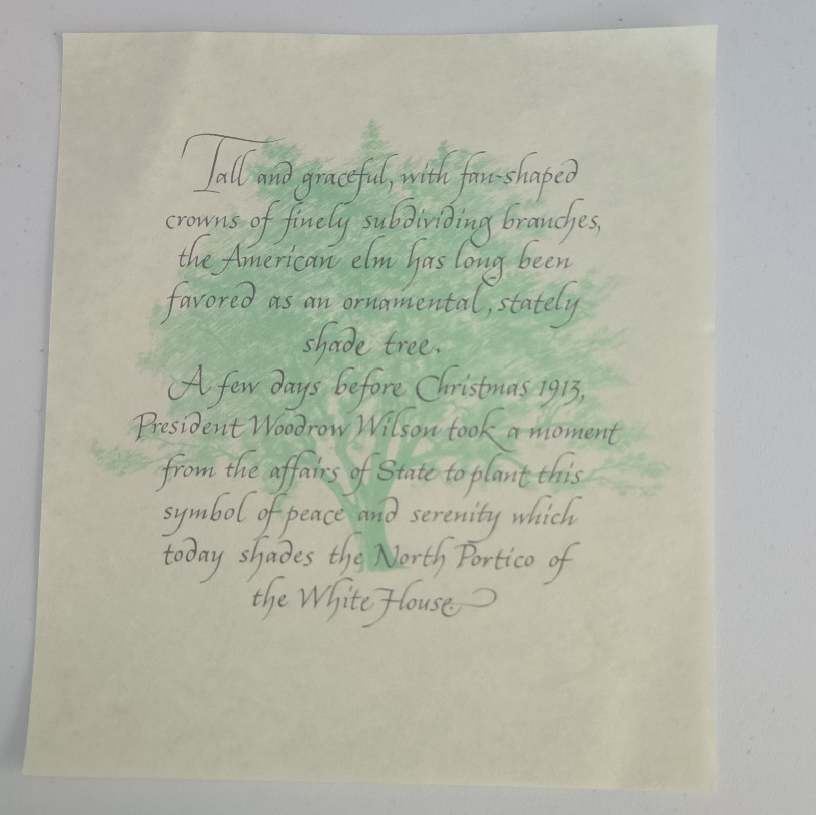 Woodrow Wilson President 1913 Calligraphy Print on Paper, US Politics