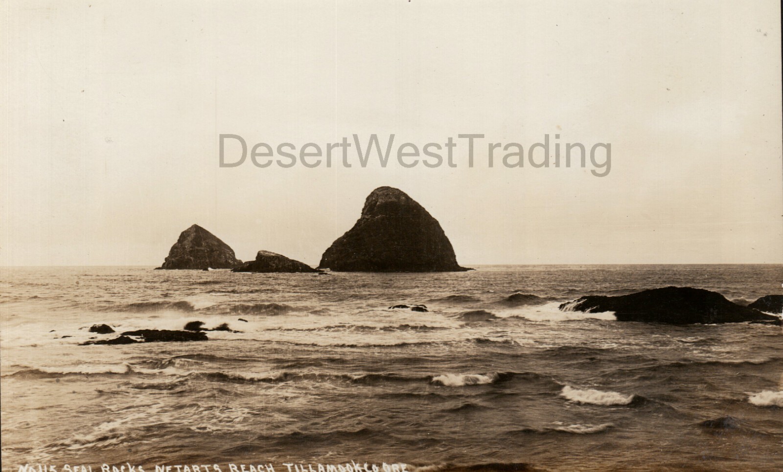 Seal Rocks Netarts Beach Netarts Oregon RPPC Postcard AZO UNP 1904-1918