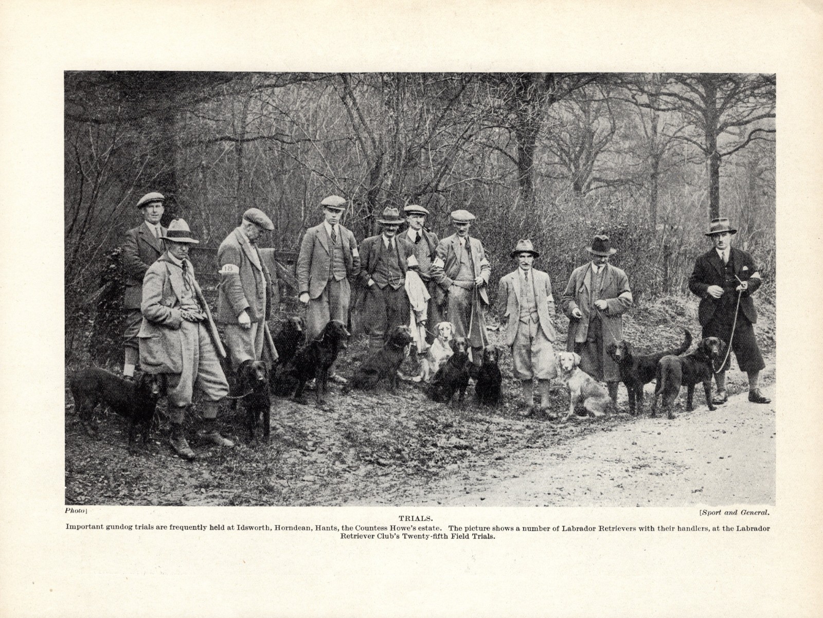 1930s Vintage Labrador Retriever Print Gundog Trials Retriever Club Print 7096h
