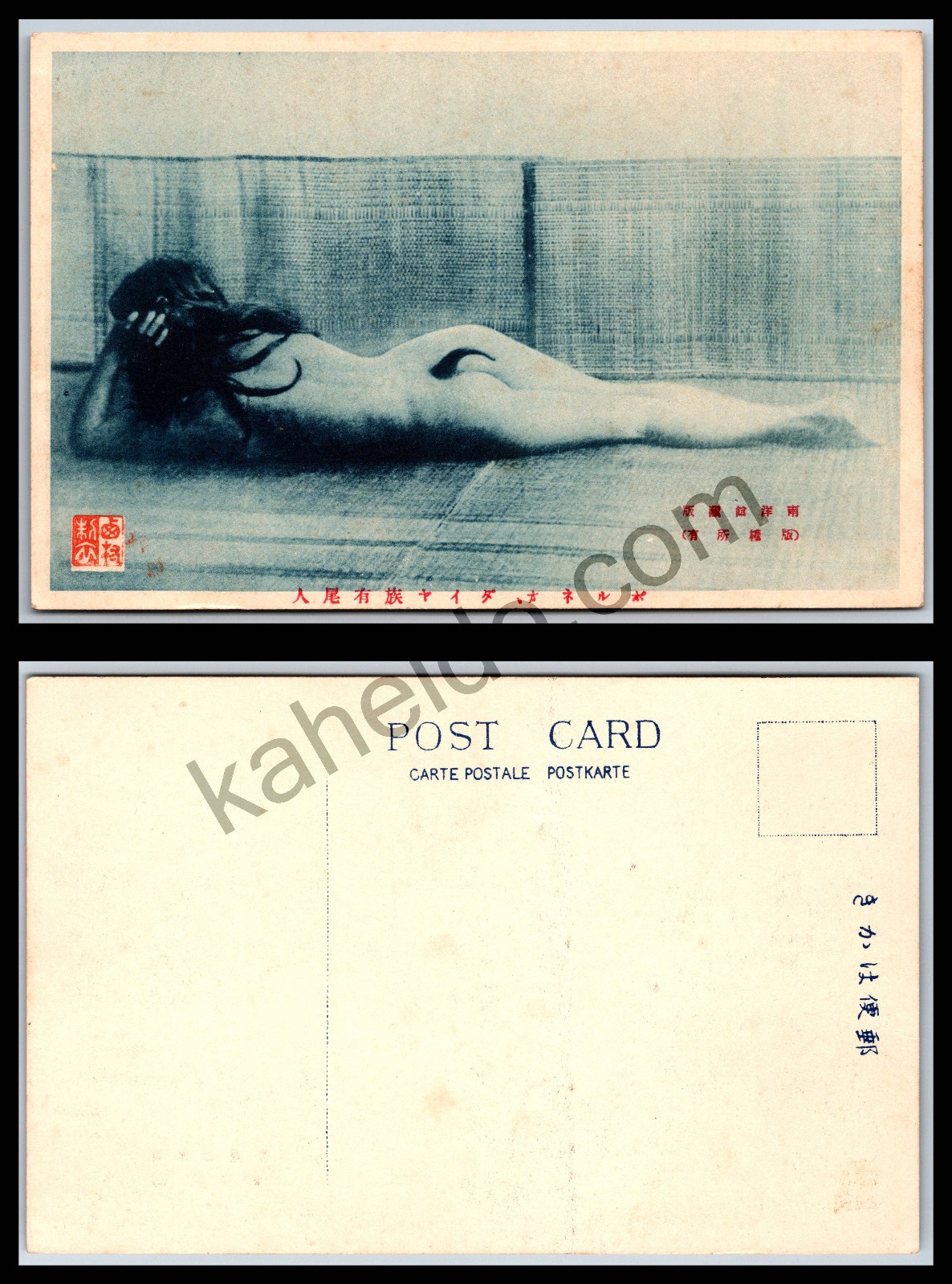 1910s Borneo Dayak Tailed Woman Hoax Japanese Ethnographic Blue Risque Postcard