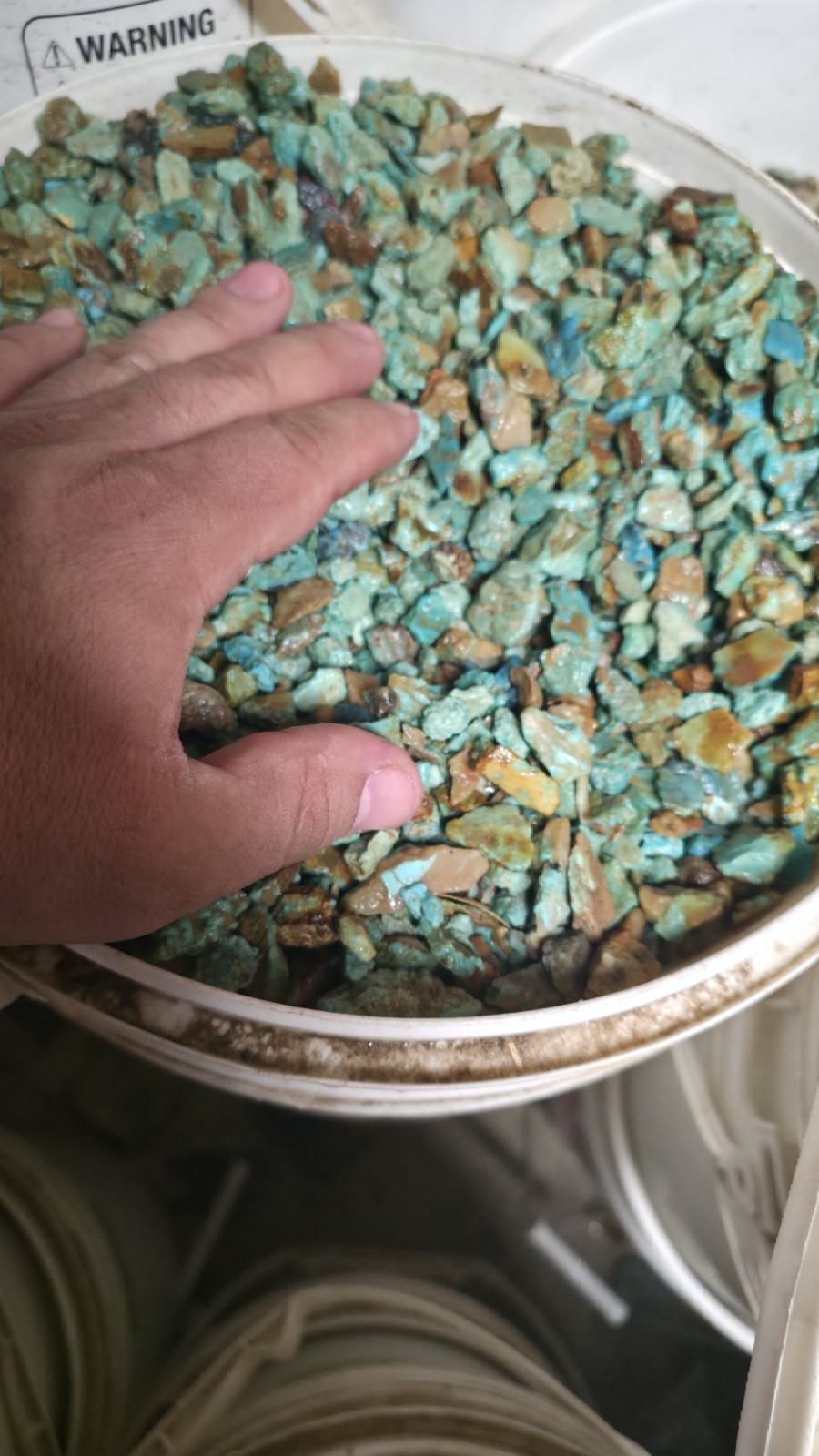 Stabilized Blue-green turquoise rough By The Pound 1/4\