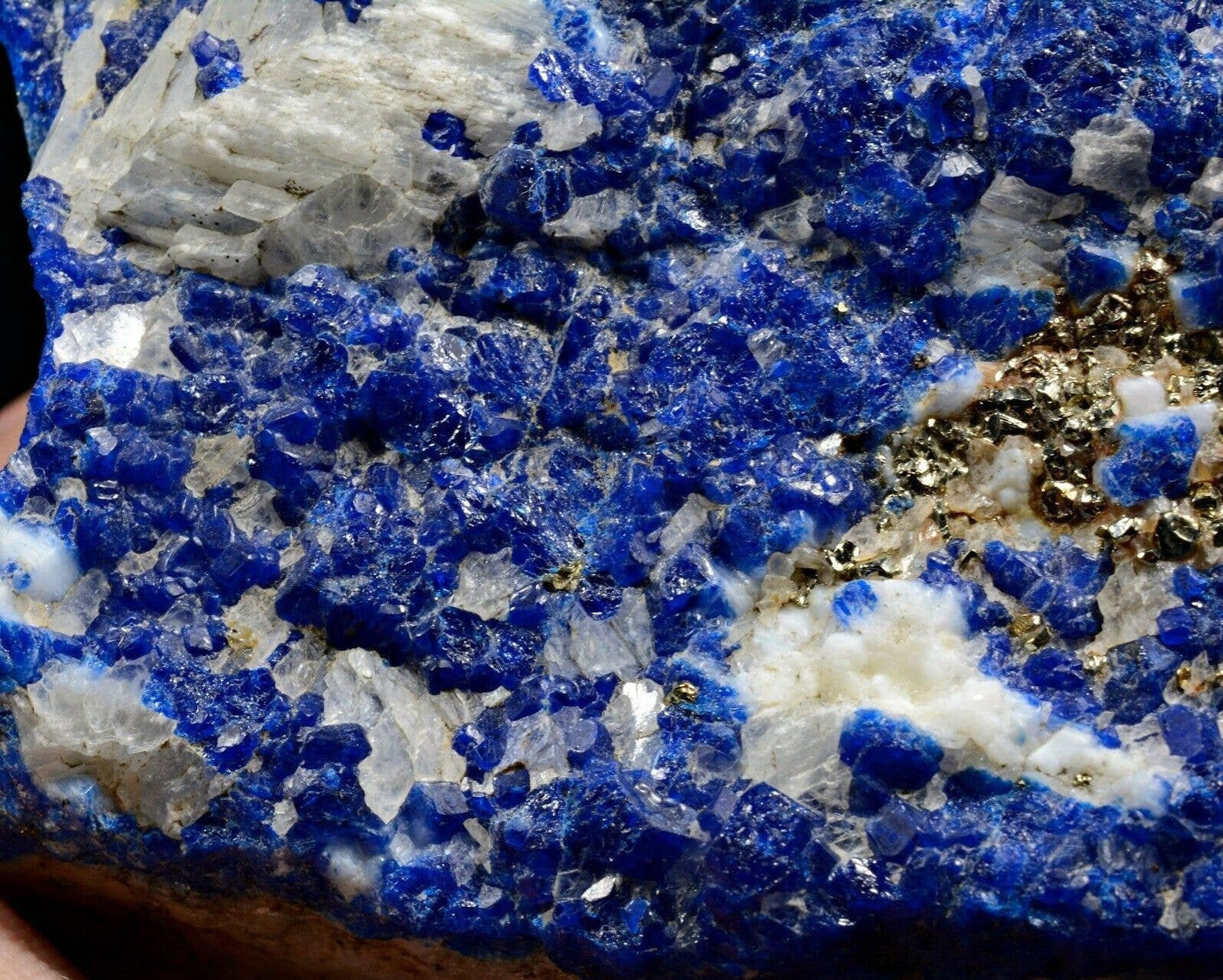 828 Gram Royal Blue Color Possibly Hauyne Crystals Cluster On Matrix w/ Pyrite