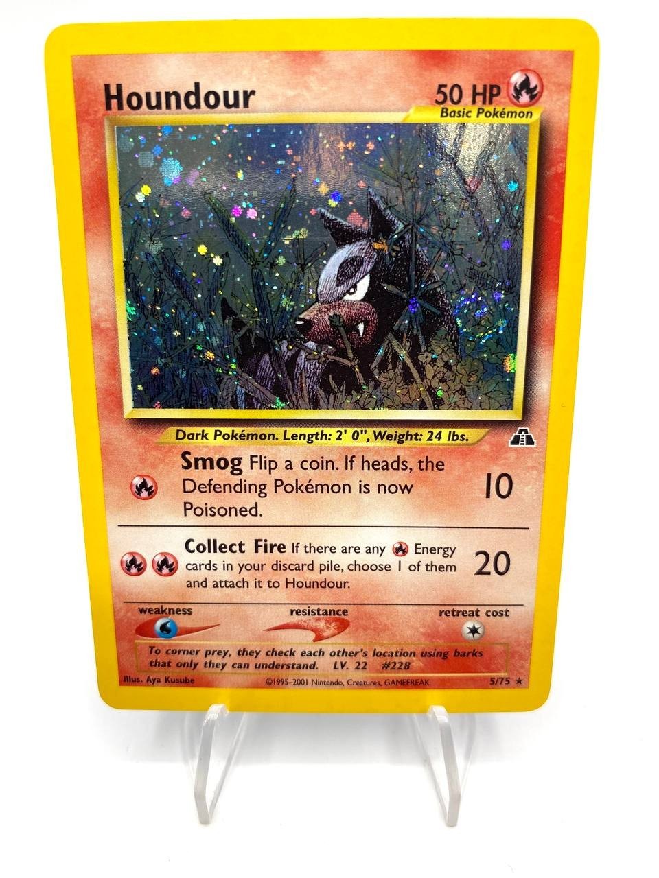 Pokemon Card Houndour 5/75 Set Neo Discovery Holo Vintage Near Mint ENG