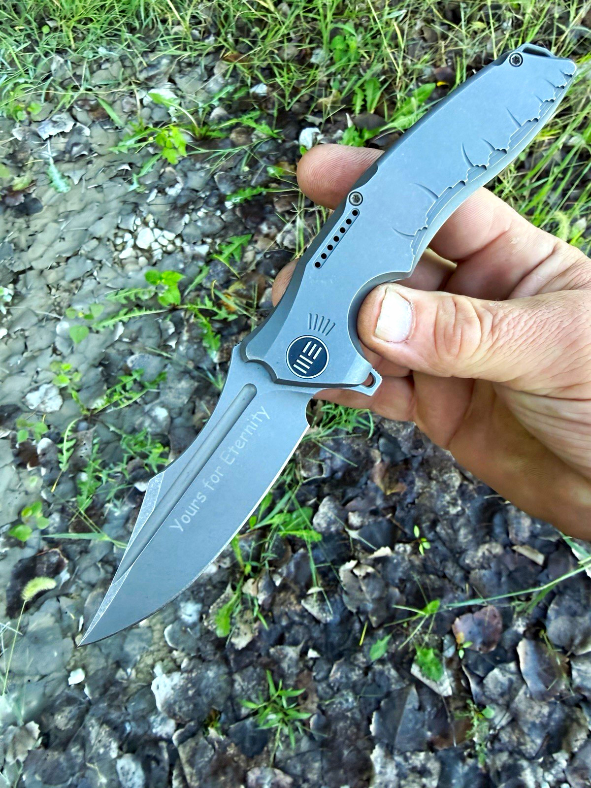 WE Knife Chimera  Gray Titanium S35VN Frame Lock Yours For Eternity Blade