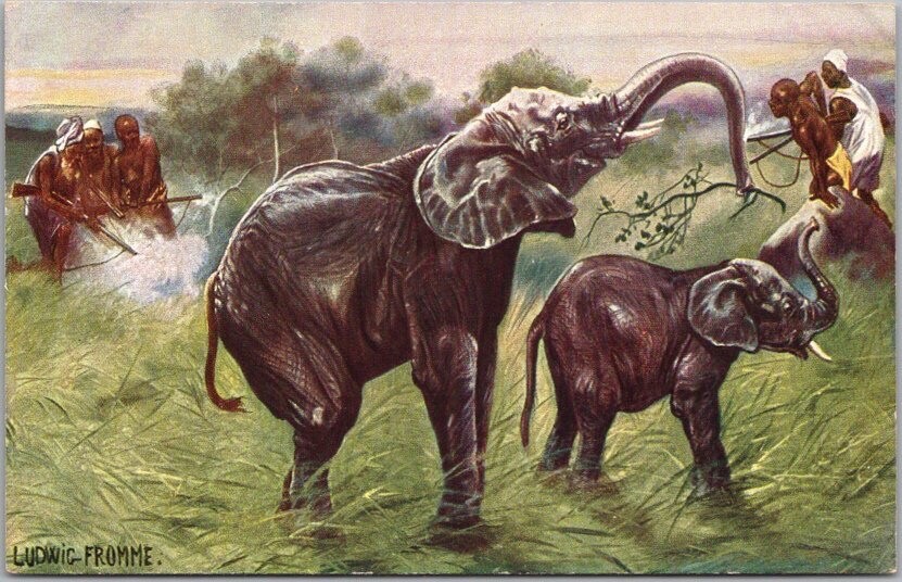 c1910s Artist-Signed LUDWIG FROMME Postcard AFRICA - Elephants Hunters / Germany