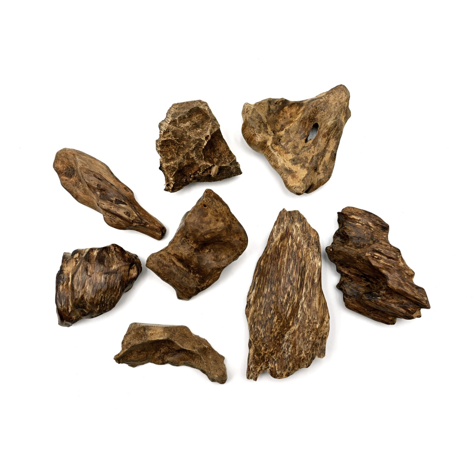 Collective Wild Malaysia Peninsular Agarwood Aged Soil Pieces 西马野生土沉沉香块 Collective Wild Malaysia Peninsular Agarwood Aged Soil Pieces 西马野生土沉沉香块