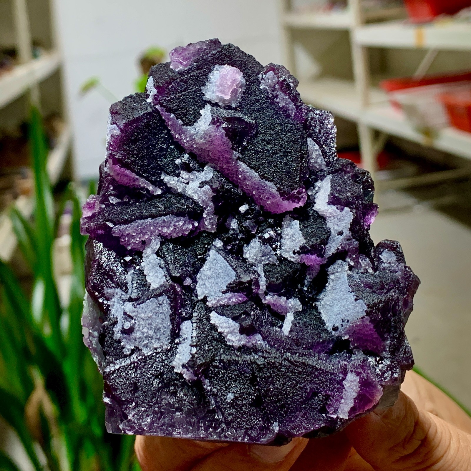 479G Natural Crystal Rare Transparent Purple Cube Fluorite Specimen/China