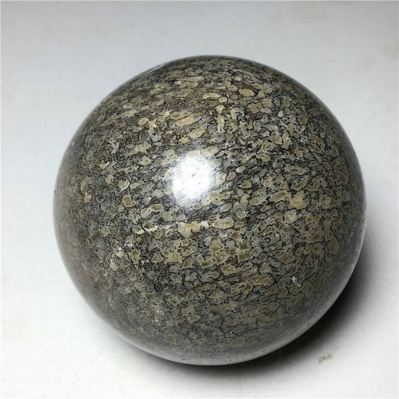 168g Natural Paleontological dinosaur fossils Polishing ball Madagascar #H1
