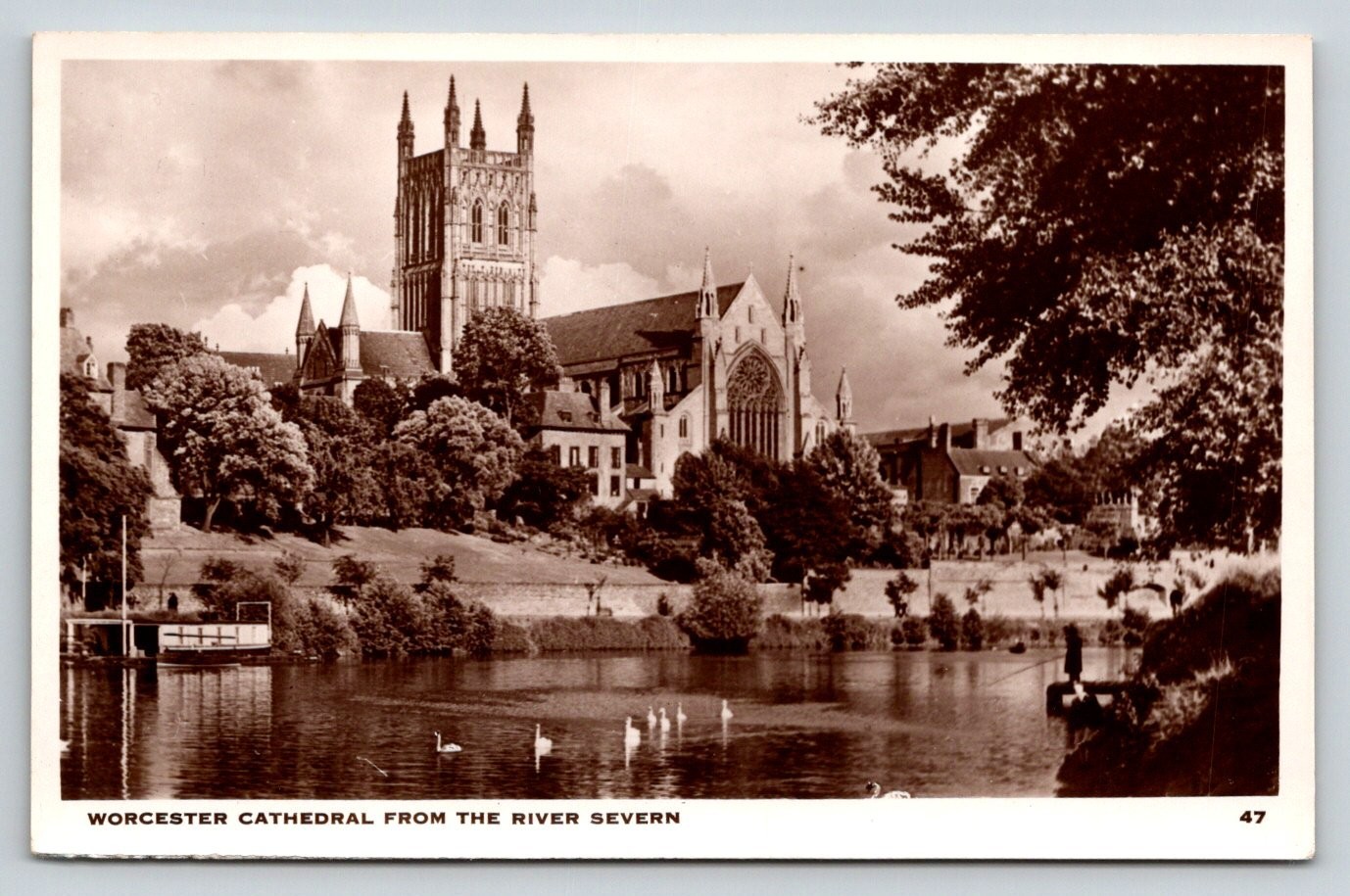 Worcester Cathedral River Severn RPPC Vintage Real Photo Postcard Sepia UK