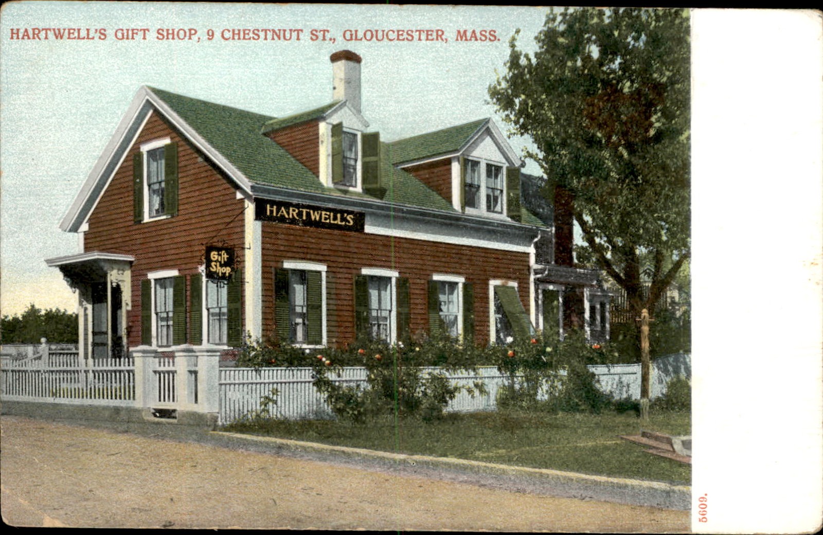 Gloucester MA Gift Shop The Metropolitan News Co. c1900s-10s Vintage Postcard