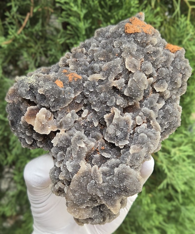 Druzy Quartz Botryoidal Chalcedony (Large 2 lb) Specimen Natural Mineral Decor