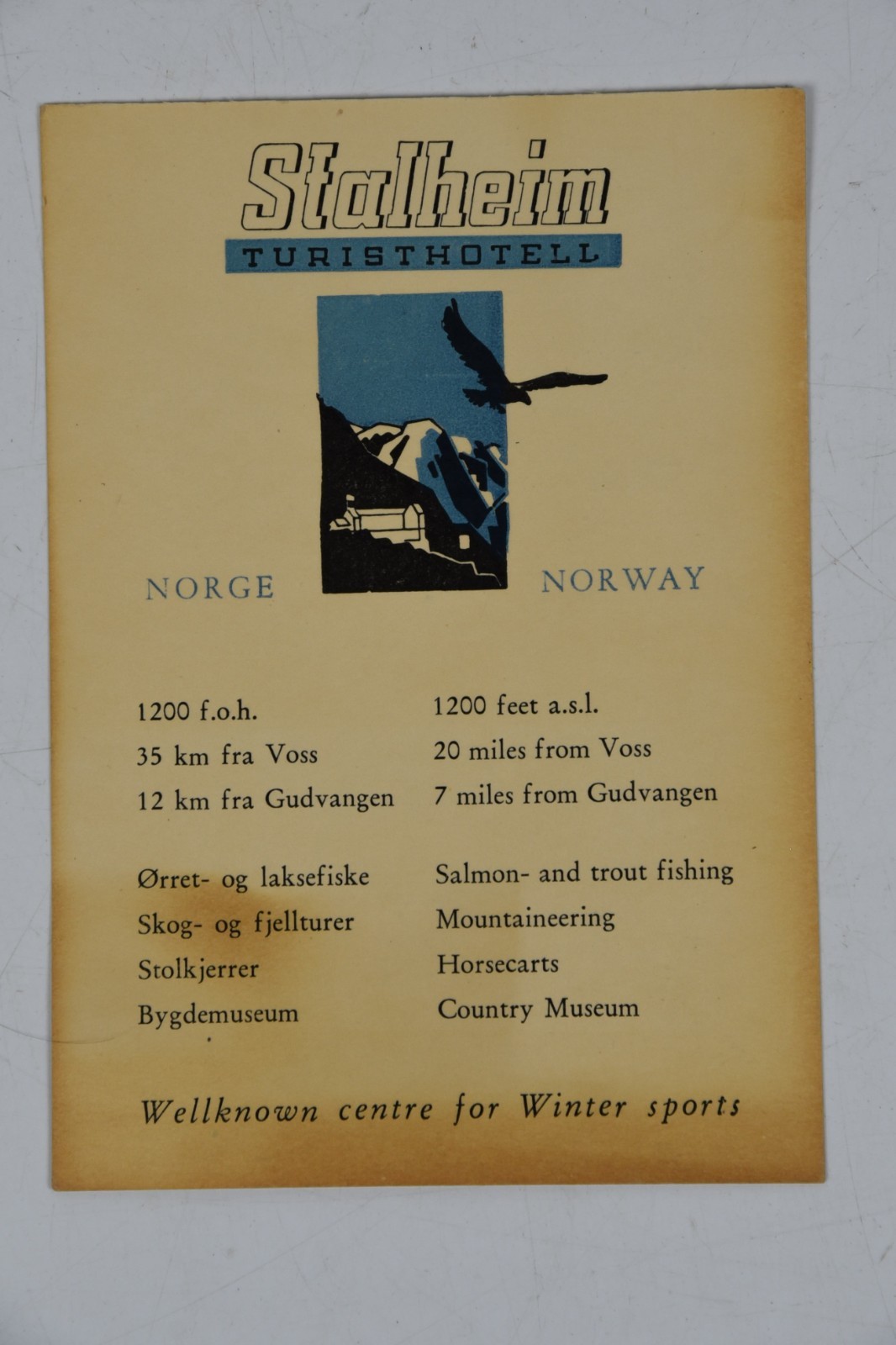 Vintage Stalheim Turisthotell Norway Norge Hotel Motel Ad Europe Winter Sports