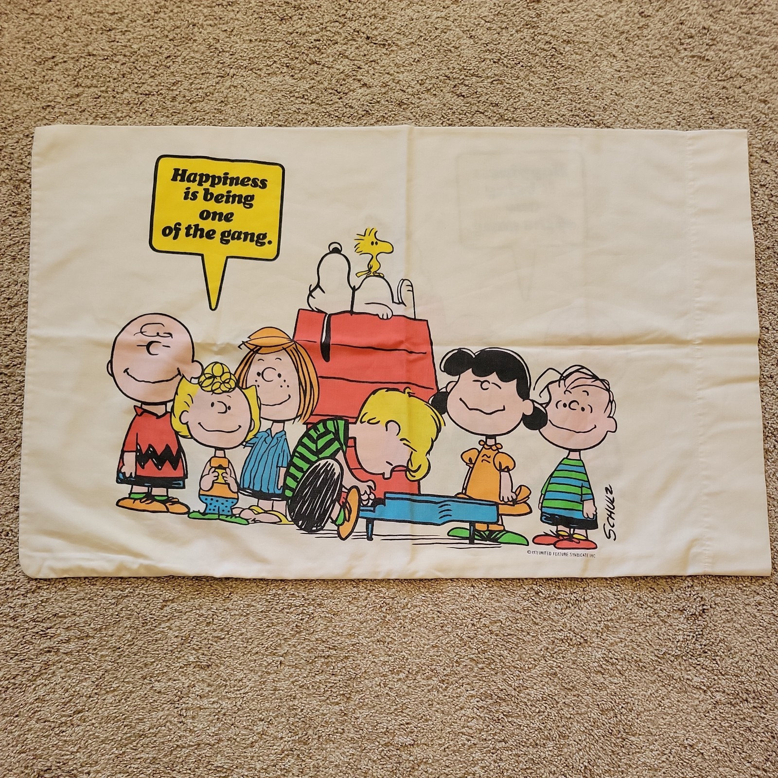 Vtg 1971 Charlie Brown Peanuts \