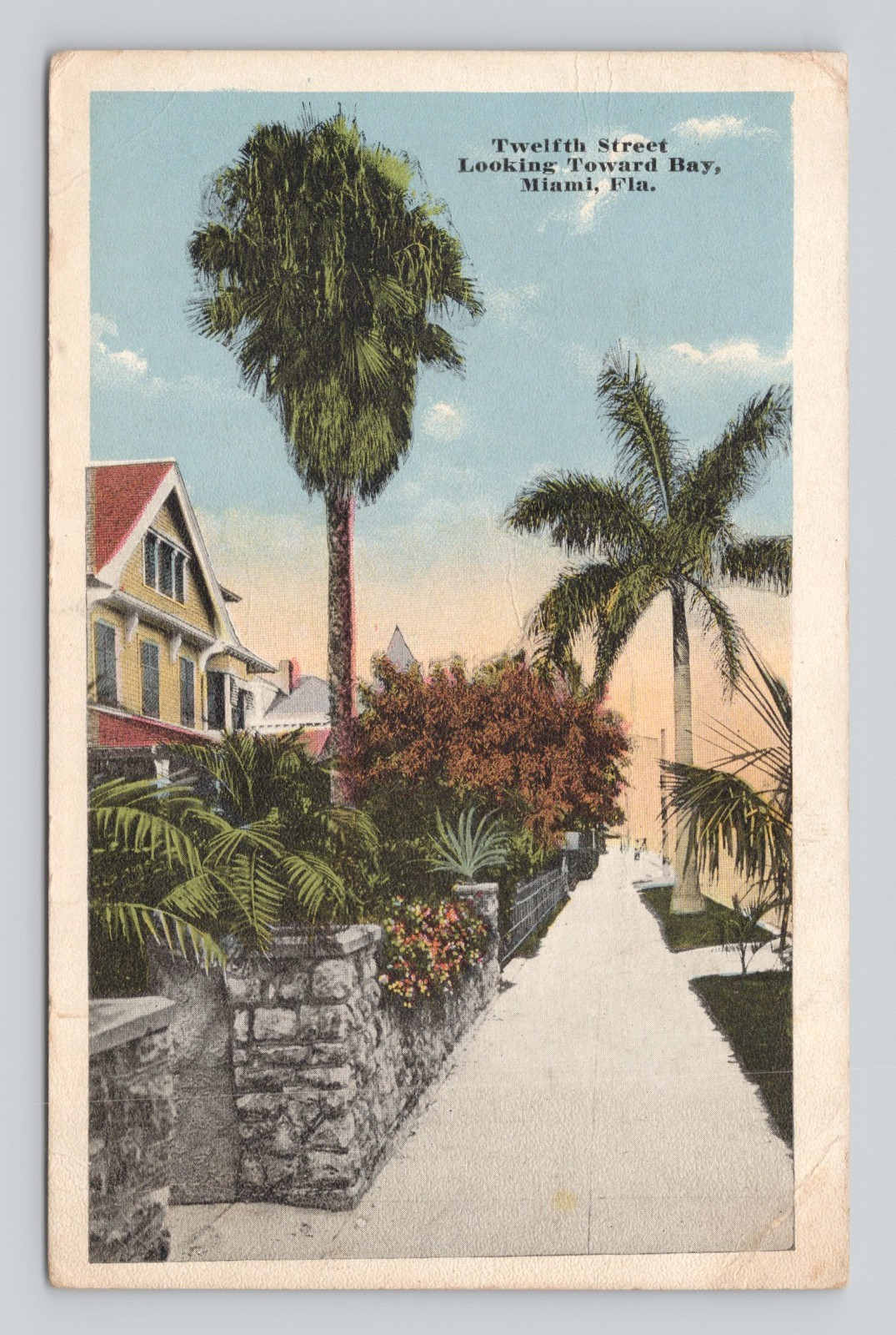 Postcard  Twelfth Street Looking Toward Bay Building Pathways Tree Miami FL