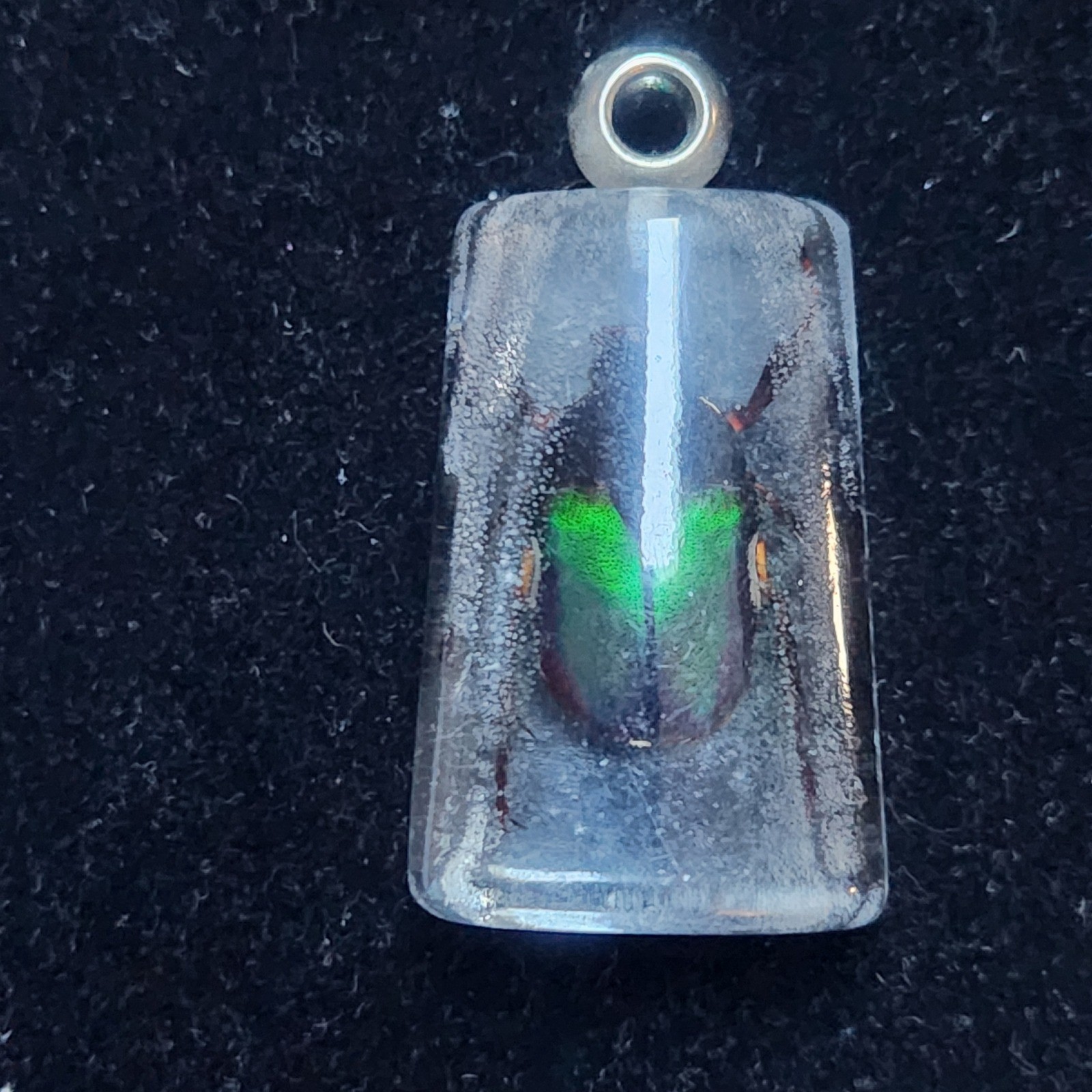 Real Green Beetle Specimen Resin Pendant Taxidermy Insect Jewelry