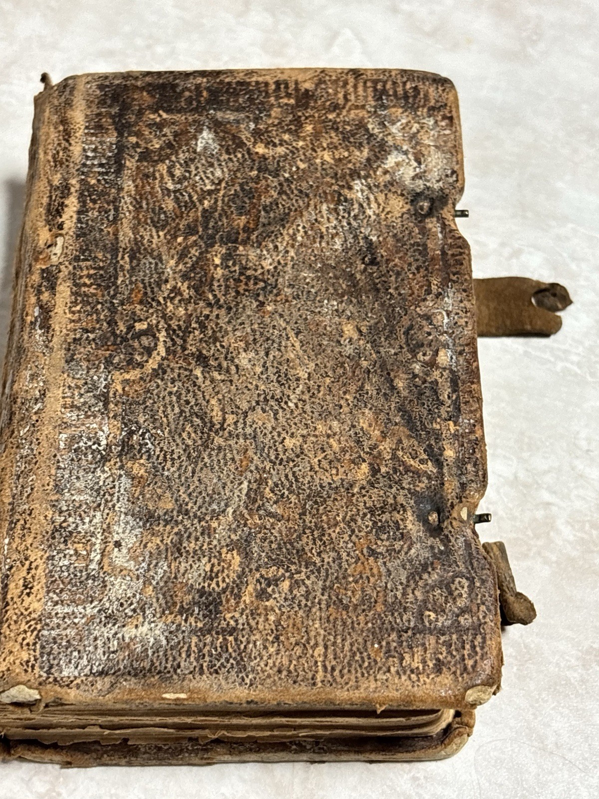 Vintage Antique German Bible 3.5