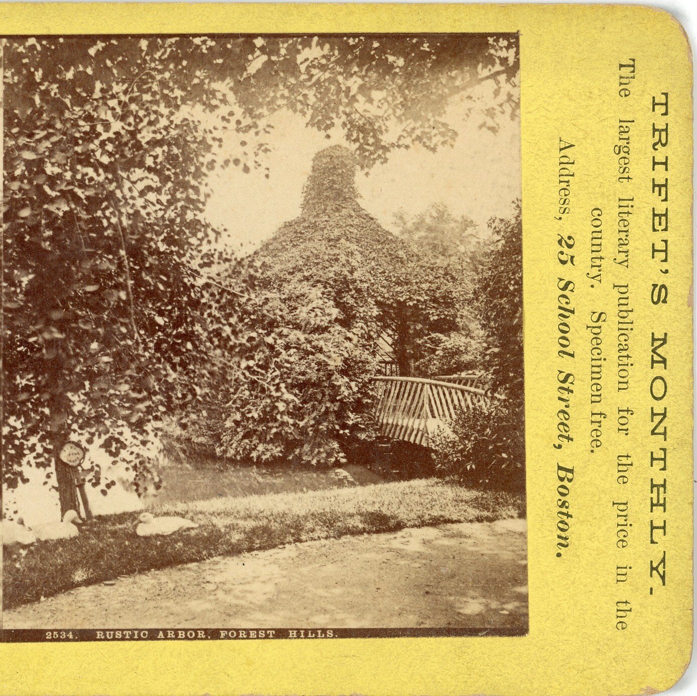 MASSACHUSETTS, Rustic Arbor, Forest Hills--Stereoview K98