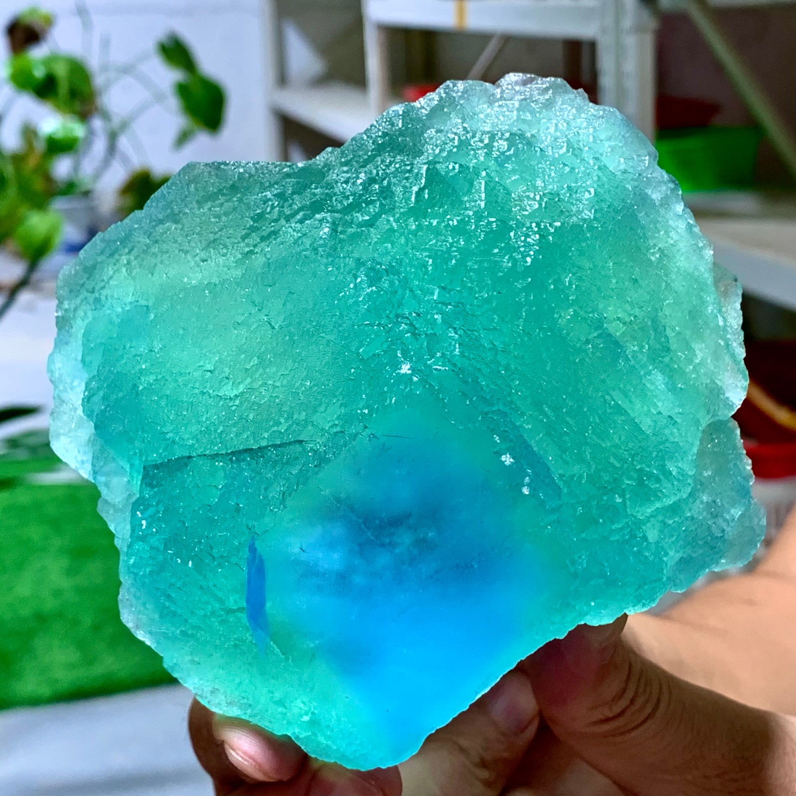1.88LB Rare transparent Green blue cubic fluorite mineral crystal sample/China