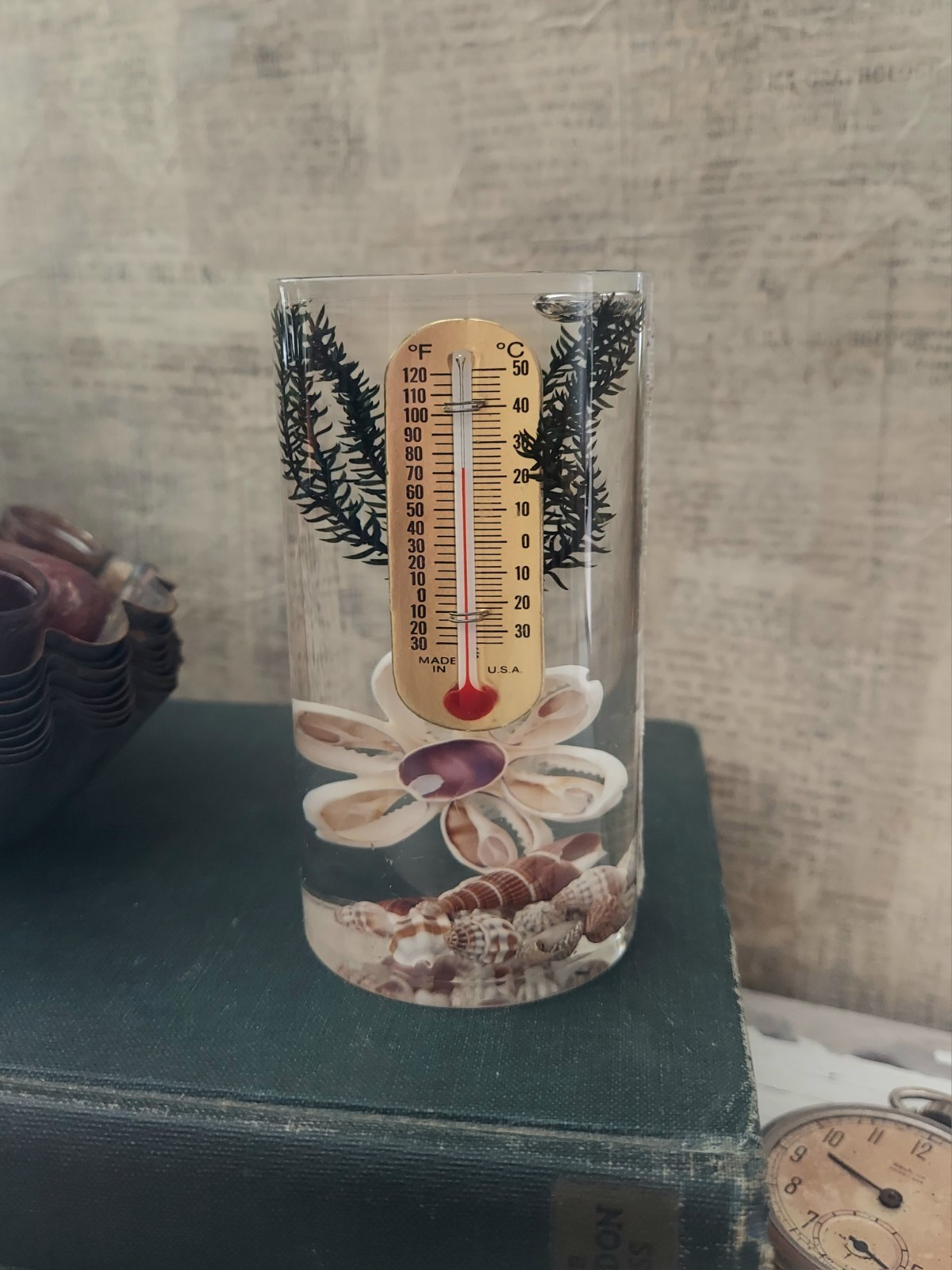 Vintage Lucite Sea Shell Thermometer  Souvenir Of Cayman Islands