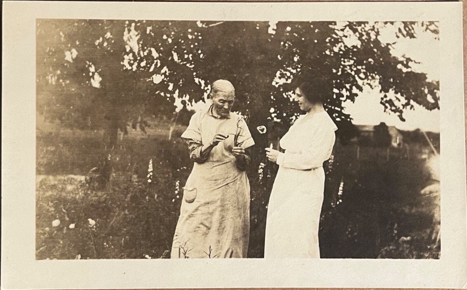 RPPC St Paul Minnesota Older Lady with Flower Antique Real Photo Postcard 1913